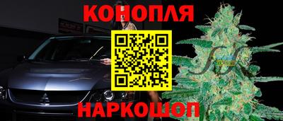 сатива Обь