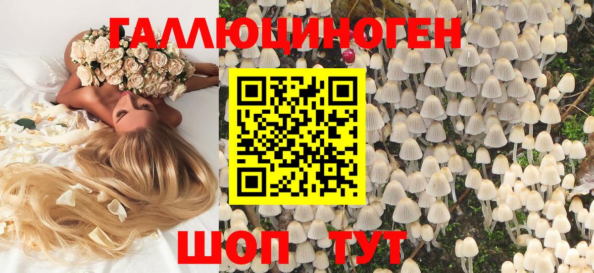 Галлюциногенные грибы мицелий Сальск