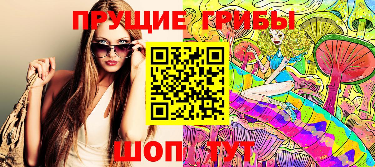 купить закладку  Галлюциногенные грибы мицелий  Вход с VPN  Сальск 